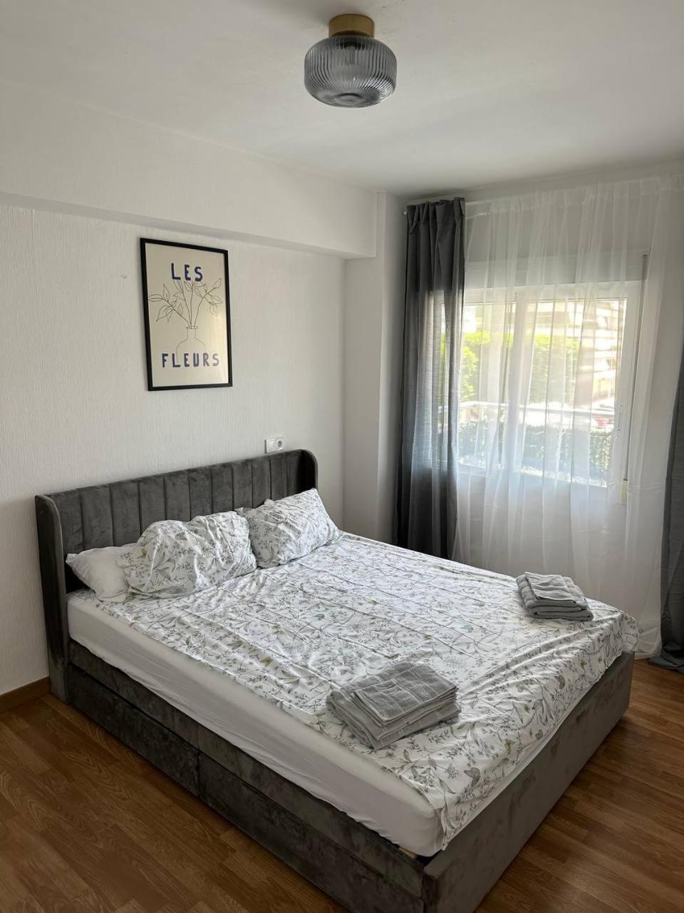 Seashell Apartment In كولرا المظهر الخارجي الصورة